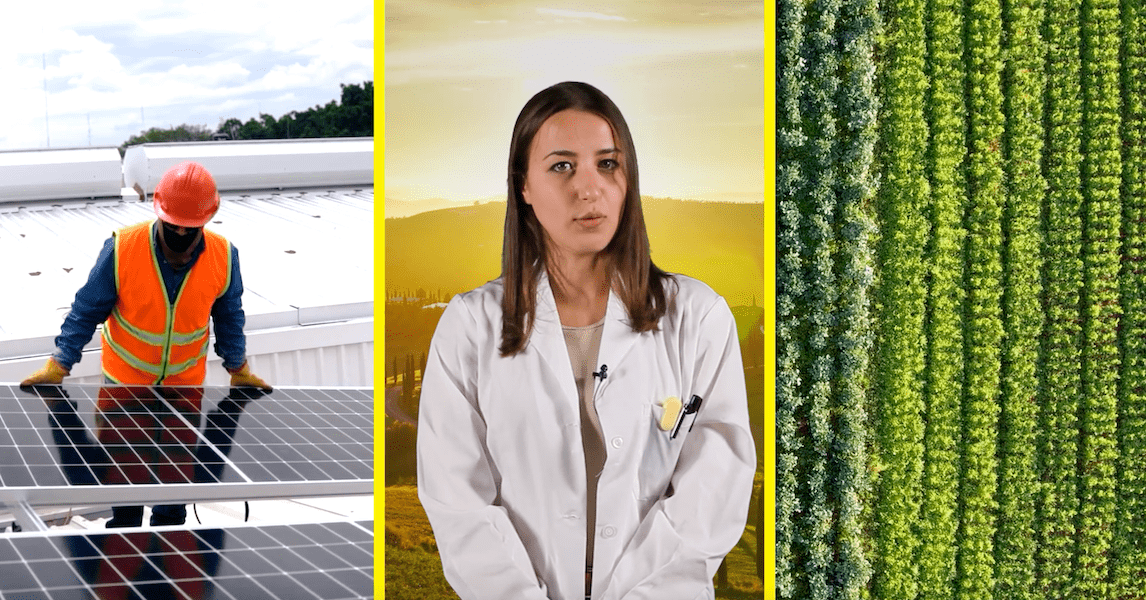 Sostenibilità urbana: 7 passi per una casa eco-compatibile