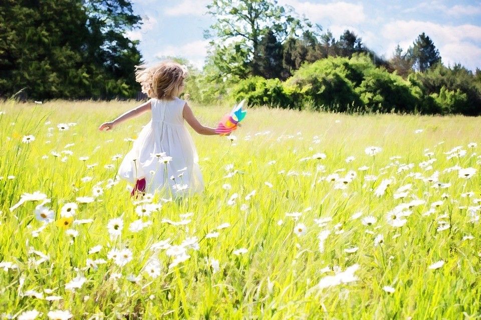Crea Natura
