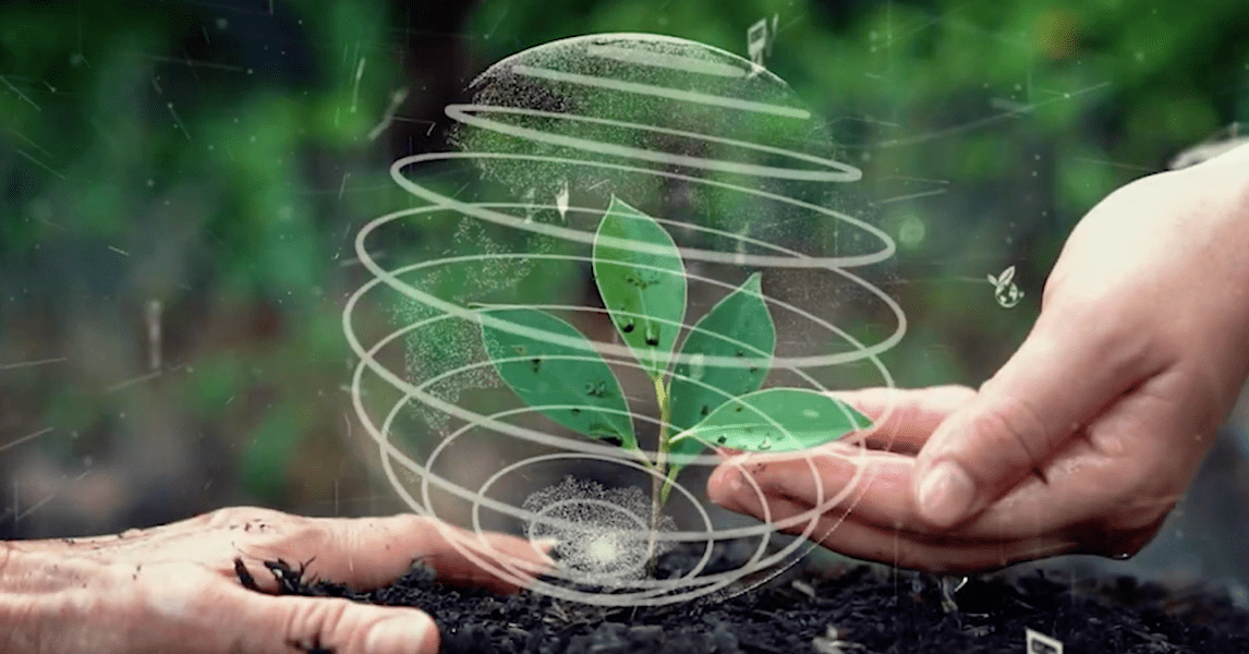 L’ecologia spiegata ai bambini