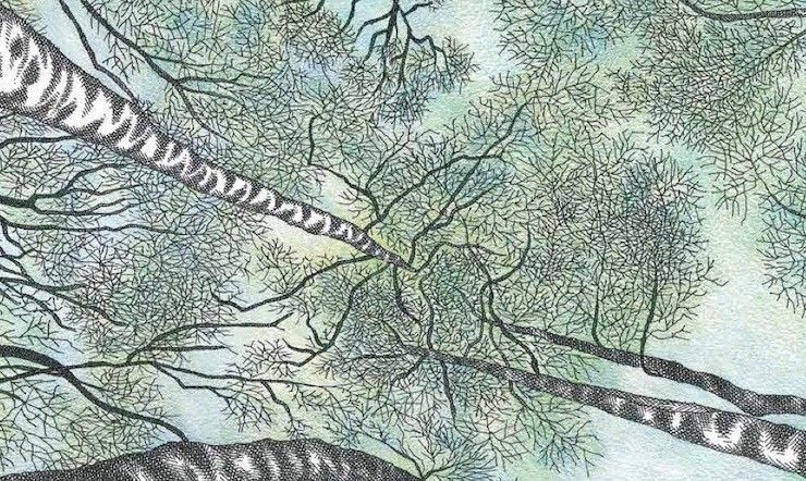 L’ecologia spiegata ai bambini