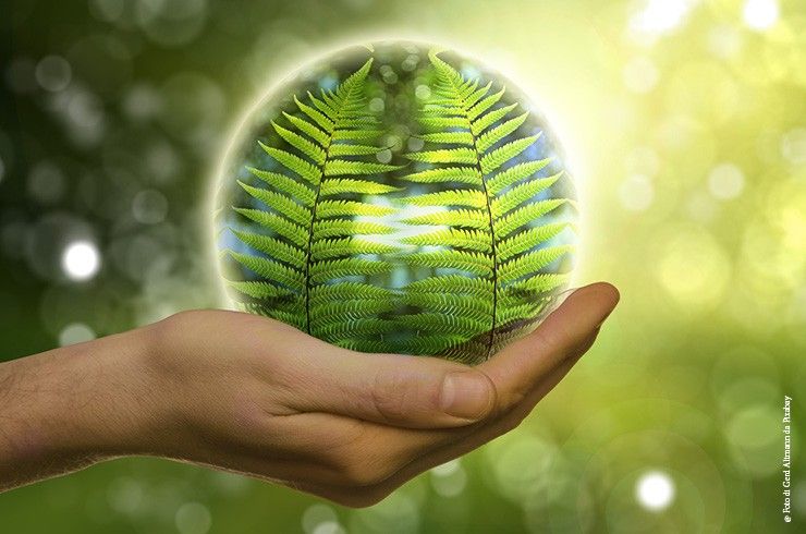 L’agenda 2030 per la sostenibilità spiegata ai bambini