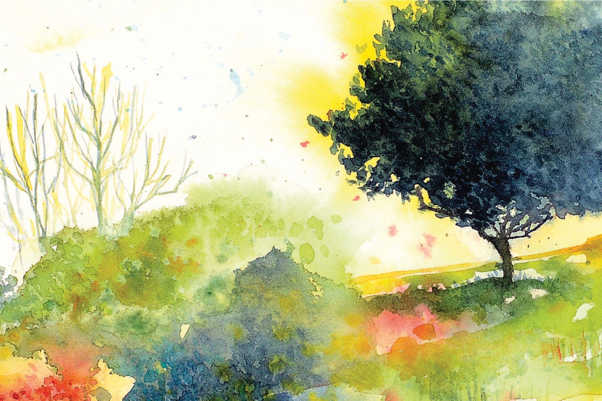 L’ecologia spiegata ai bambini. La carta.