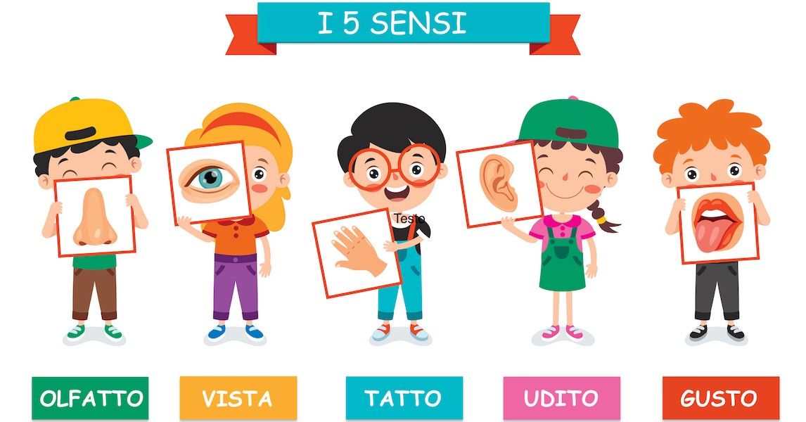 Lavoretti sui 5 sensi: attività divertenti, istruttive e creative | FILA
