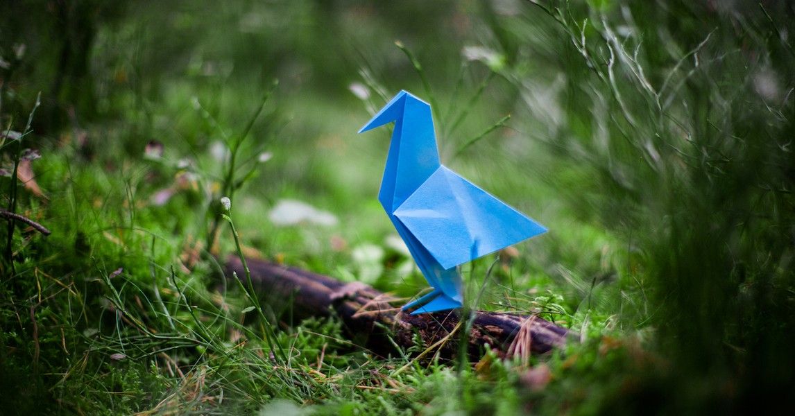 Origami animali: tutti i segreti per creare simpatici animaletti | FILA