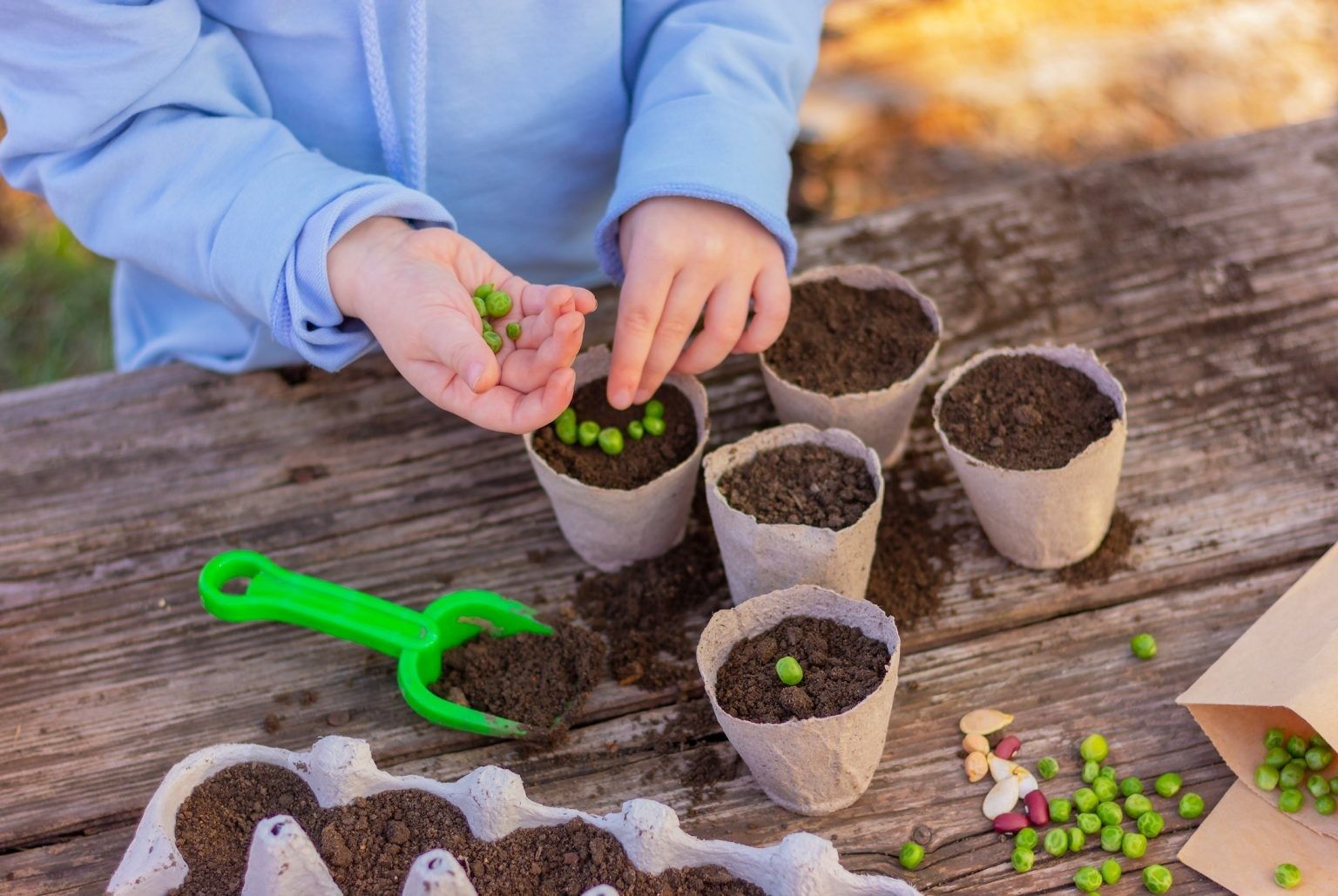 Attività con i semi per bambini ecco qualche idea creativa FILA Attività con i semi per bambini ecco qualche idea creativa FILA