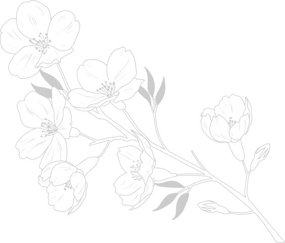 Section 2B