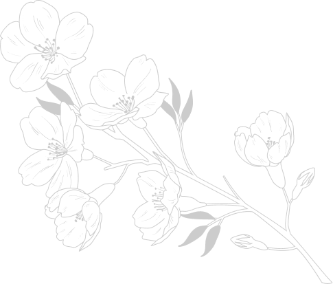 Section 5B